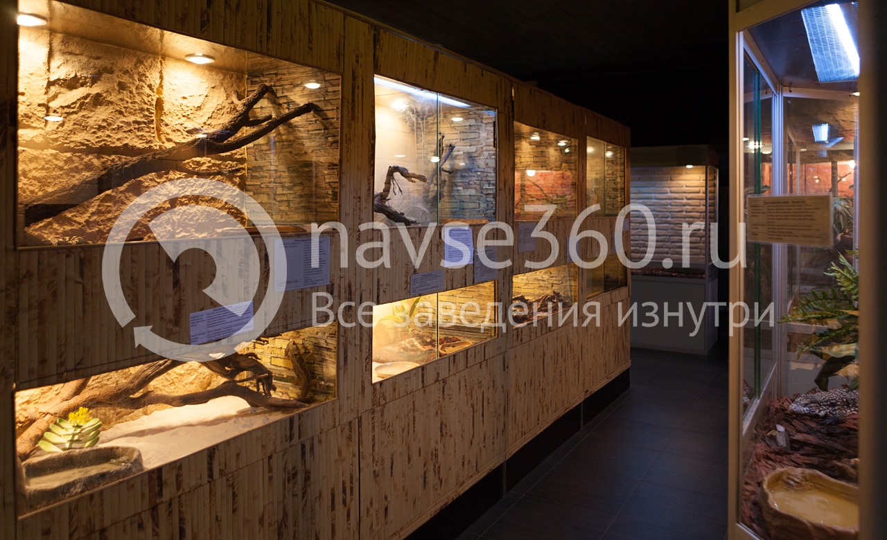 экзотариум избариум