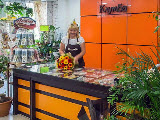 Клумба, супермаркет цветов