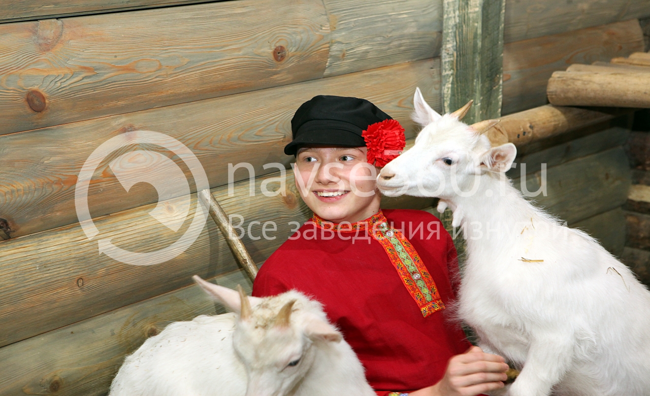 рога и копыта,контактный зоопарк