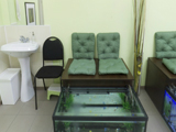 Fish-Spa, спа-салон