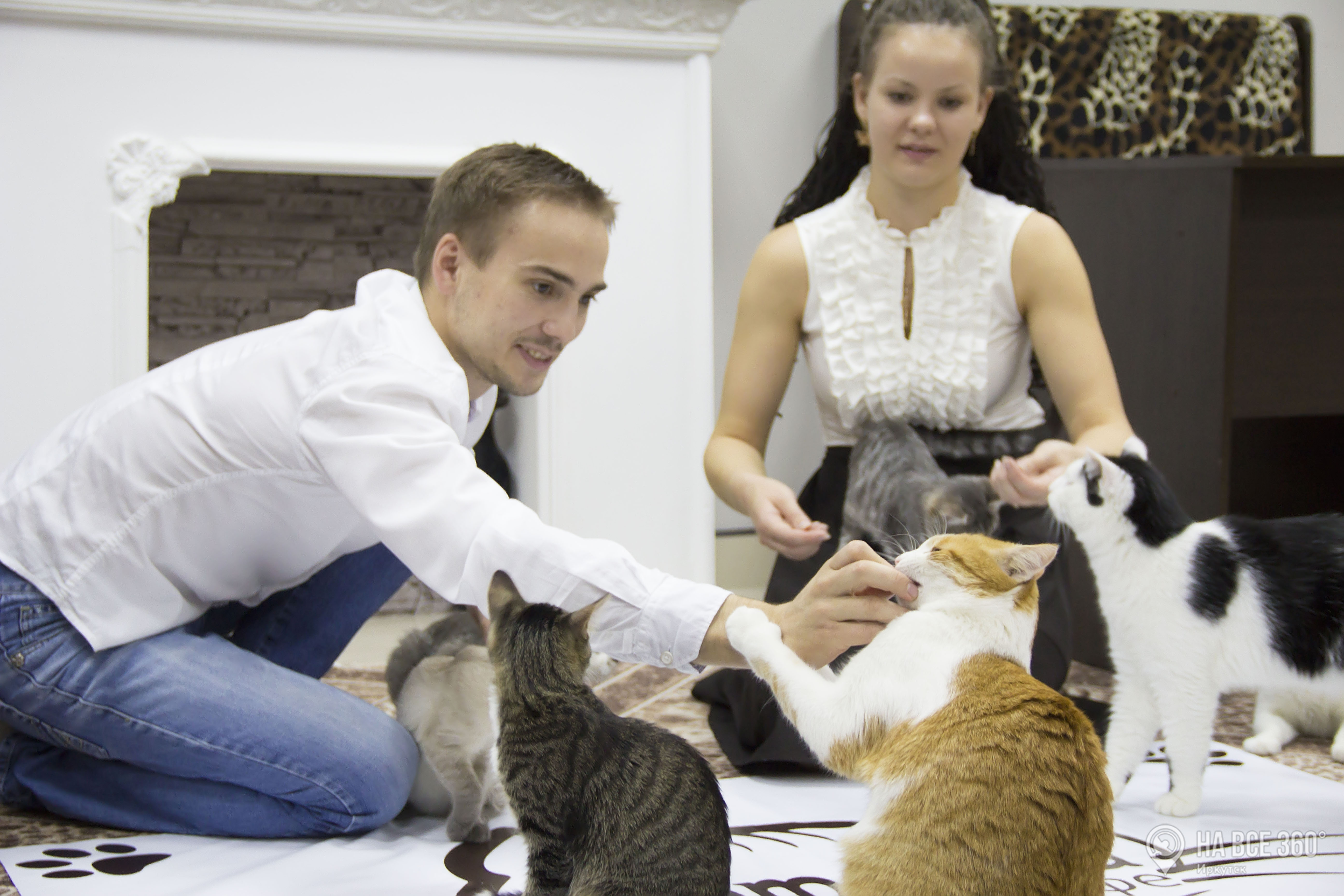 Котейка Иркутск