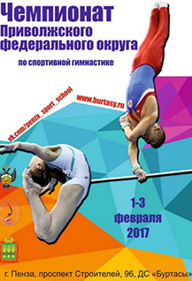 Чемпионат Приволжского федерального округа по спортивной гимнастике